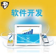 一品威客網(wǎng)軟件外包服務(wù)報(bào)價(jià)與收費(fèi)解析 專(zhuān)業(yè)、透明、高性?xún)r(jià)比的開(kāi)發(fā)選擇
